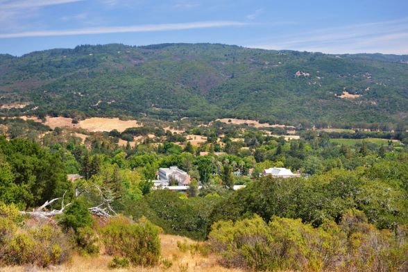 Front of blog, more of the land