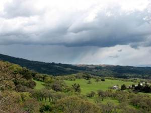 draft resource assessment