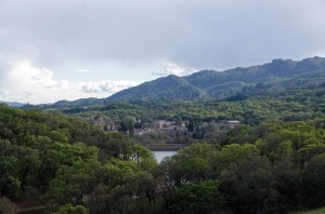 change sdc's future (VOM mag)